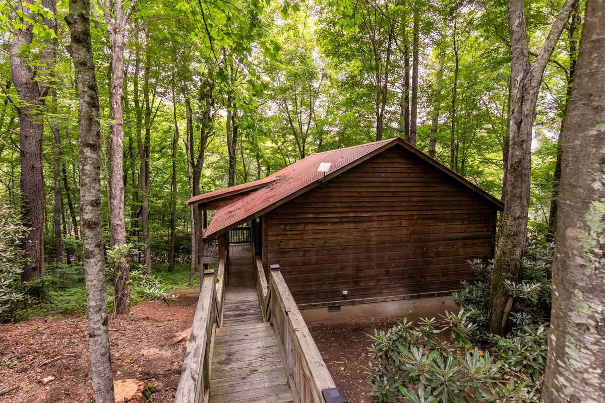 This exterior shot showcases the wooden cabin framed by dense forest, with a winding pathway leading up to the entrance. The trees envelop the cabin, emphasizing its immersion in nature and the tranquility of its location. The image hints at the sense of arrival for guests and the peaceful atmosphere that awaits them, as well as opportunities for reflection and quiet moments outside.
