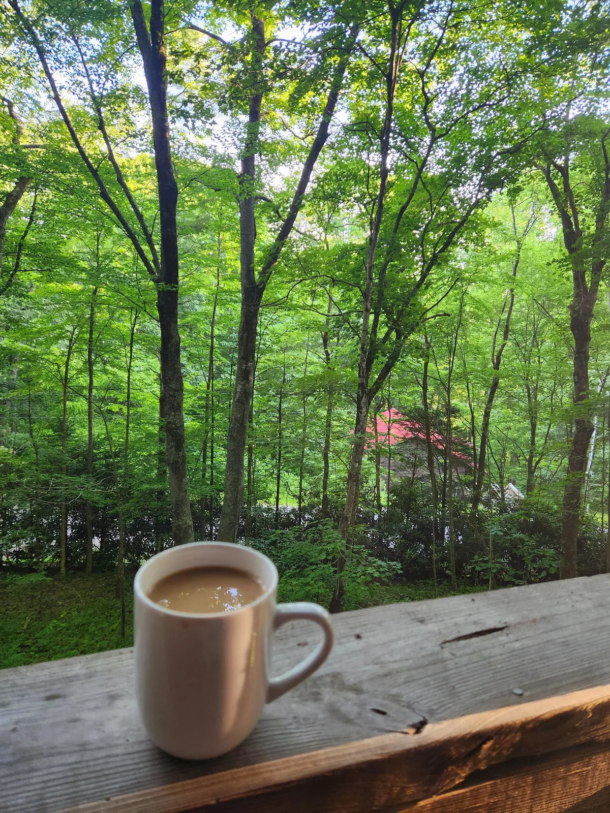 A calm morning scene showing someone enjoying coffee on the deck, with green trees and a distant red-roofed cabin visible. The foreground highlights the coffee cup, evoking early morning serenity and connection with nature.