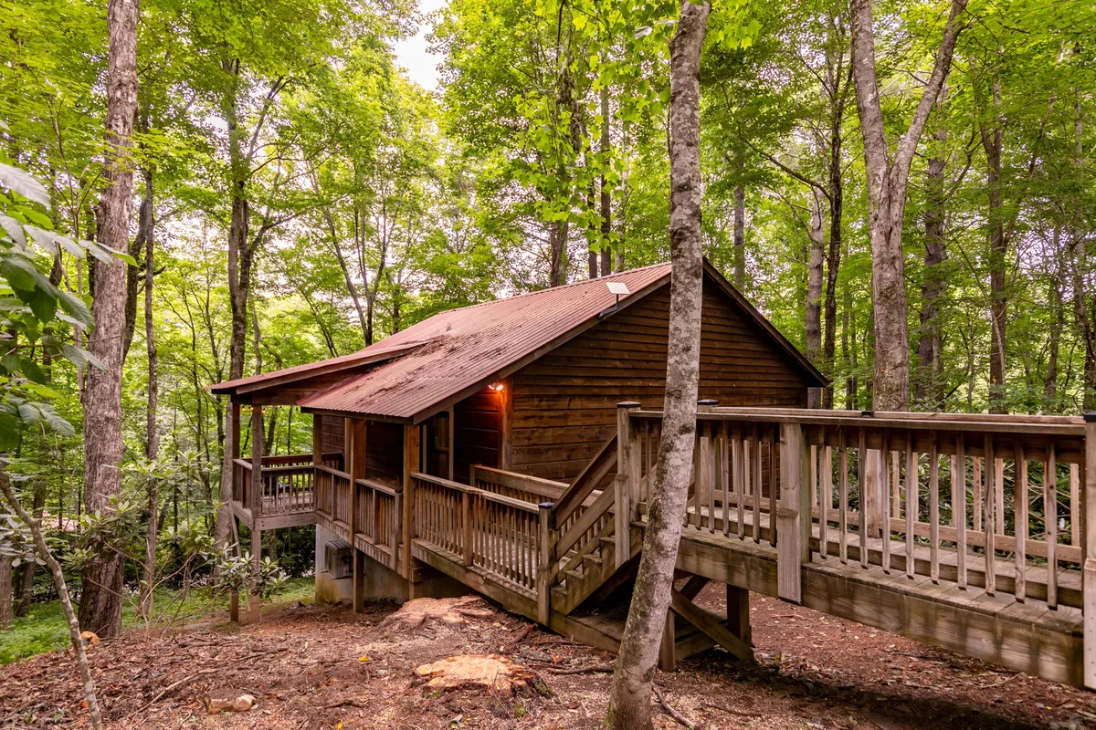 This image captures the wooden cabin nestled among tall trees, with a spacious deck extending from the structure. The surrounding greenery immerses the cabin in the natural woodland landscape, and the image is taken at a serene time of day, potentially highlighting the golden light of sunset. The deck is visible as an inviting vantage point for stargazing, relaxing, or enjoying a morning coffee enveloped by the sounds of nature.